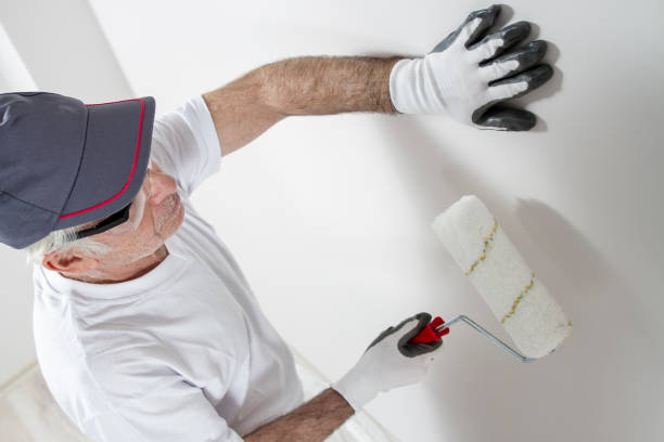 Best Wallpaper Removal and Painting  in Longwood, FL